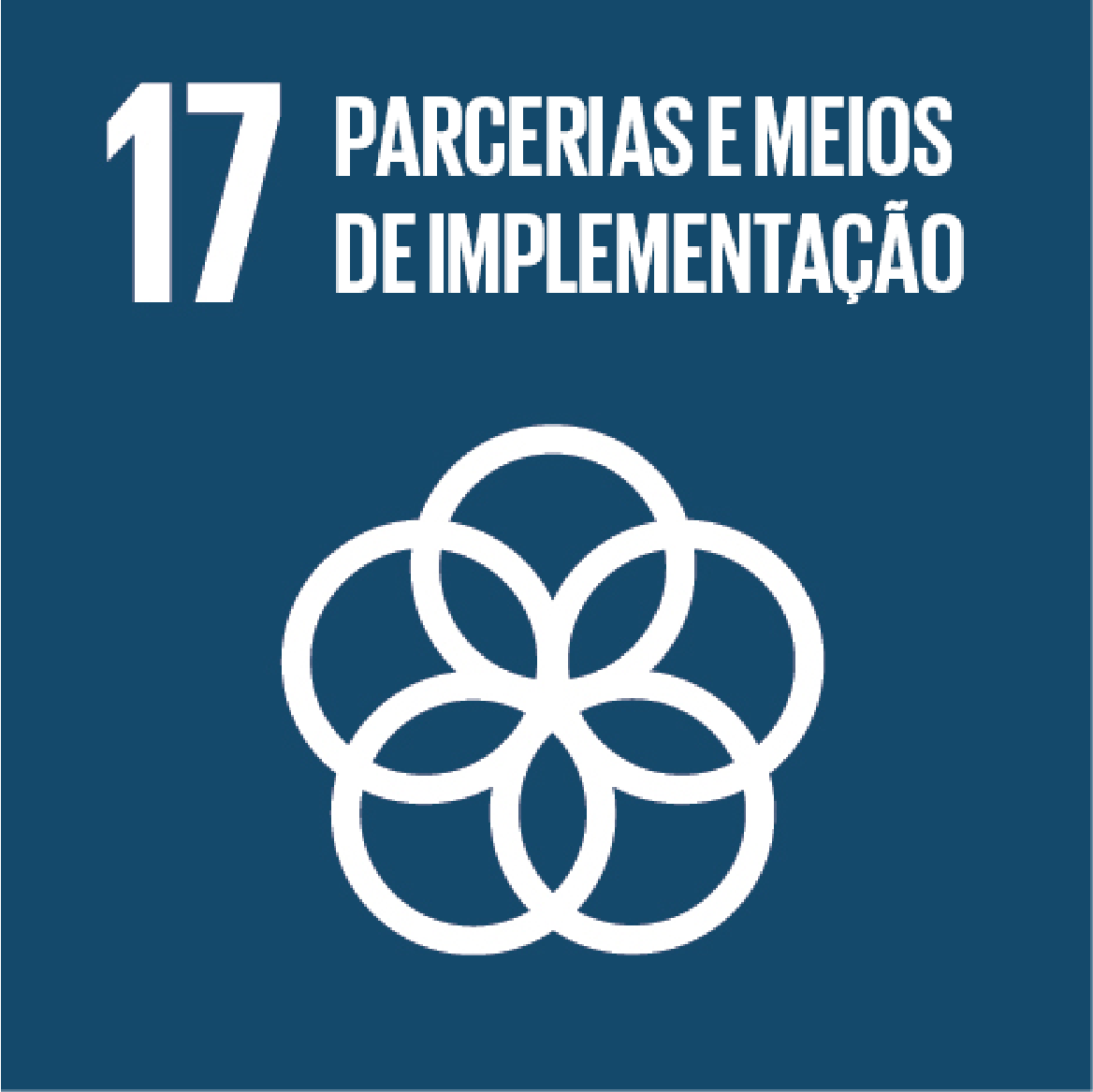 17. Partnerships and Means of Implementation: