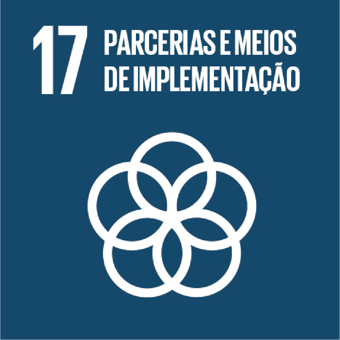 17. Parcerias e Meios de Implementação